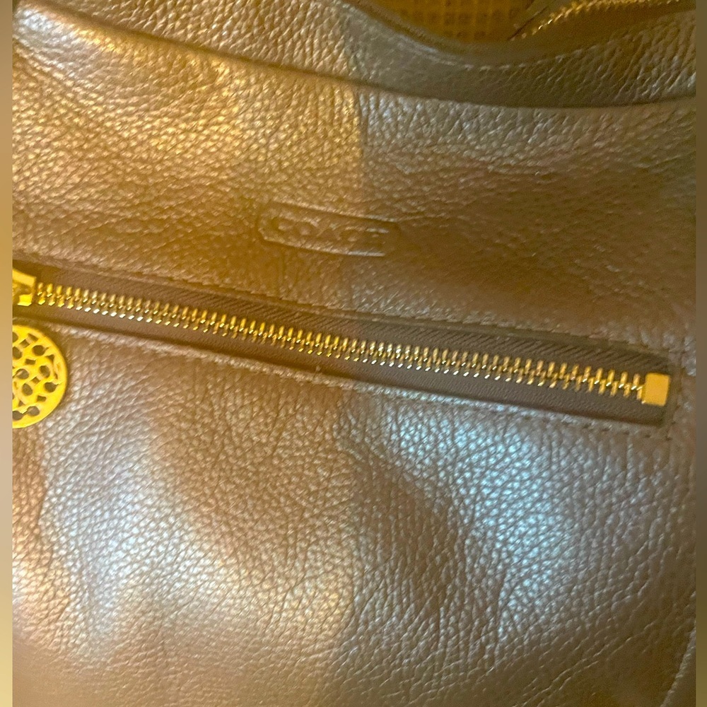 Coach-F17566-Alex Daria pebbled leather tote - Picture 4 of 8